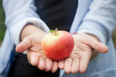 Appleinhand