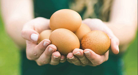 eggsinhand