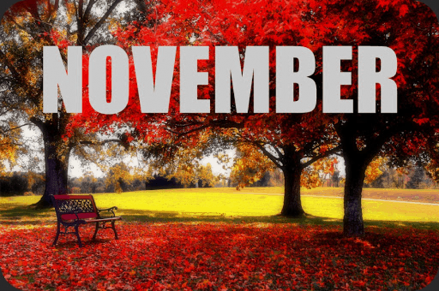 november2
